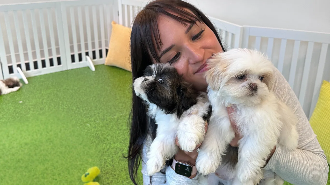 Guests cuddling puppies at a Puppy Aura session