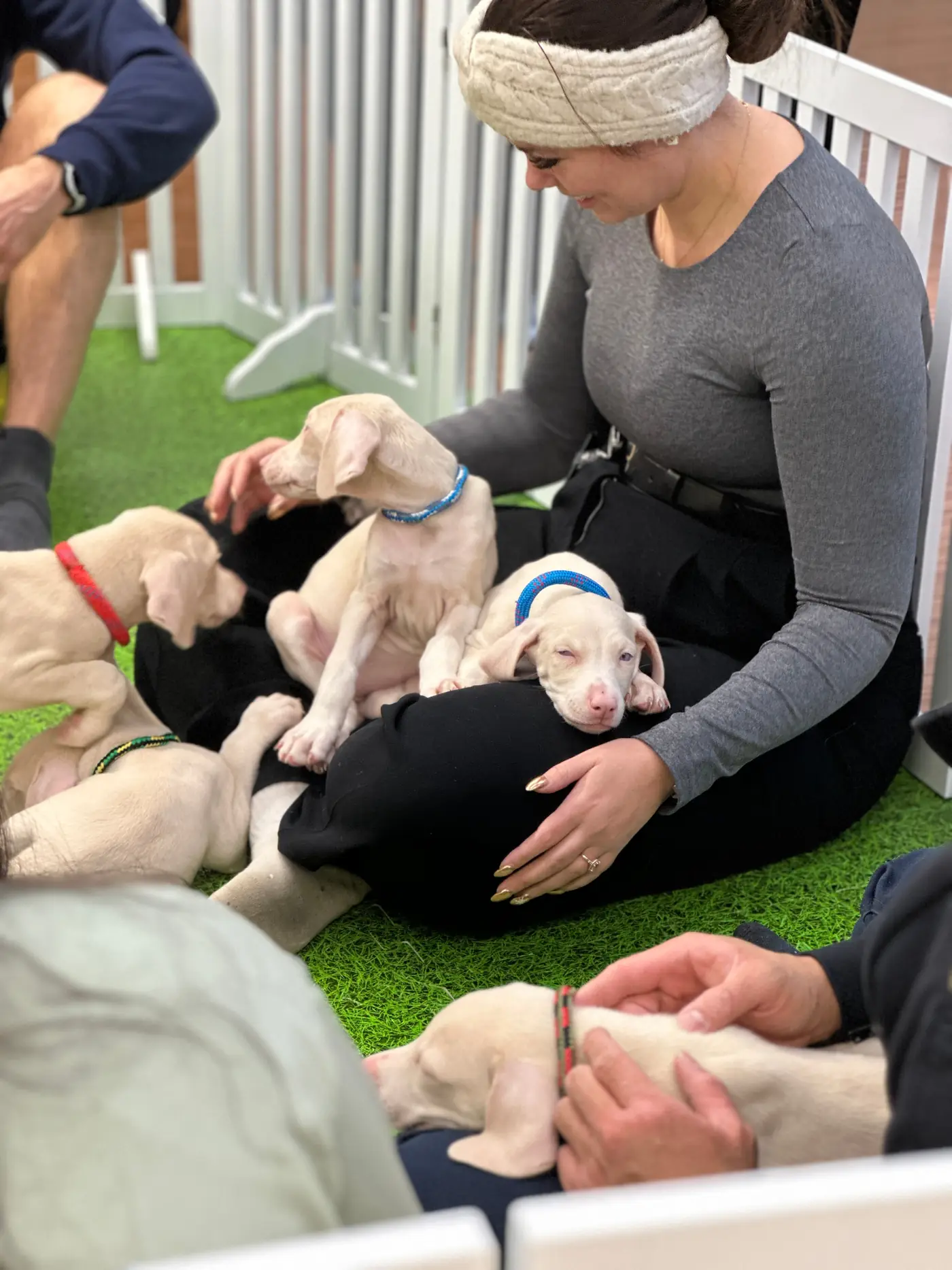 A guest cuddling puppies in the Puppy Aura lounge