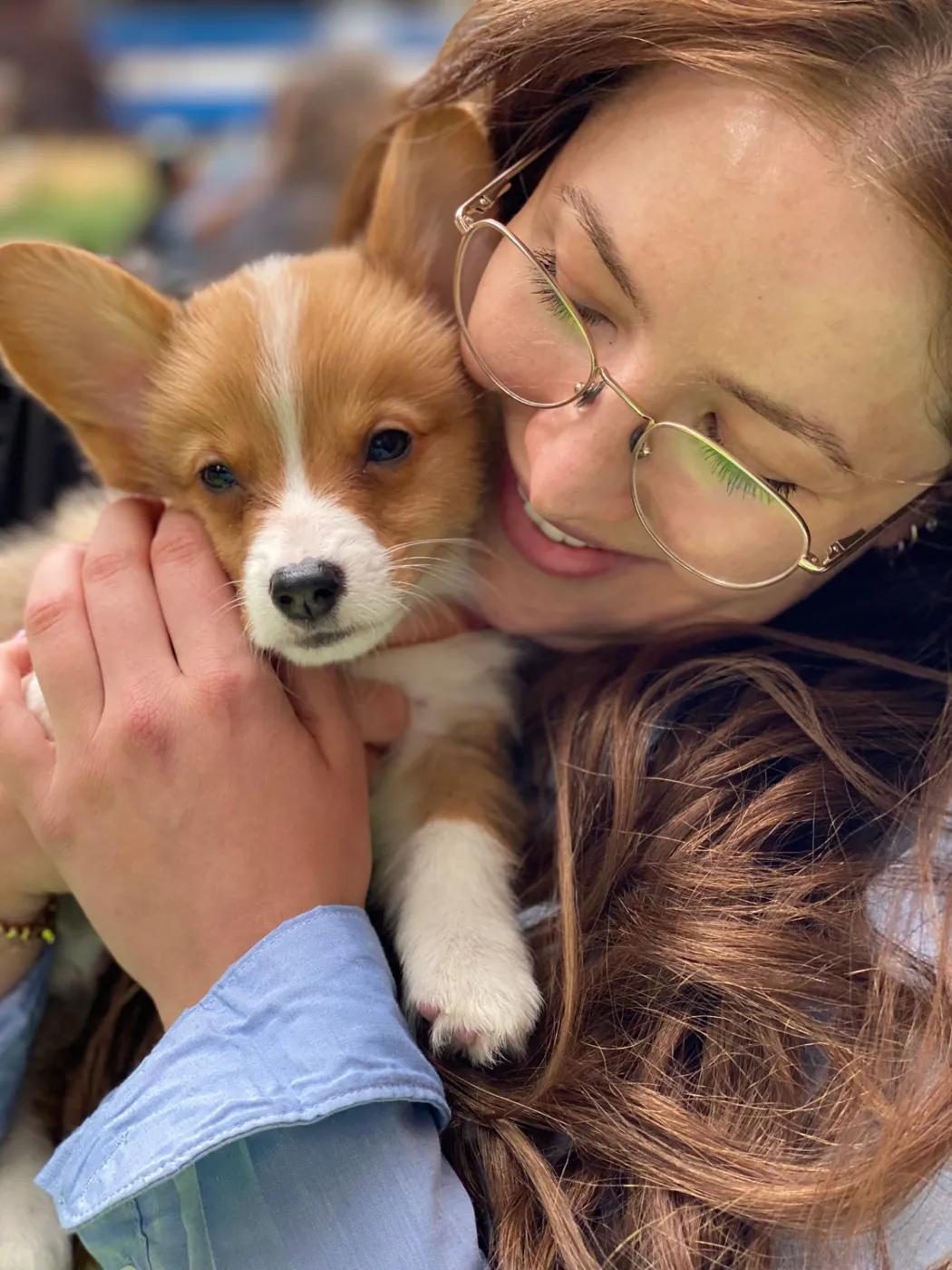 Puppies relaxing together during a Puppy Aura session