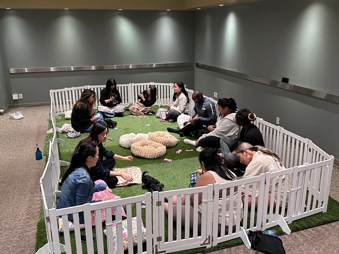 Guests spending time with puppies at Puppy Aura