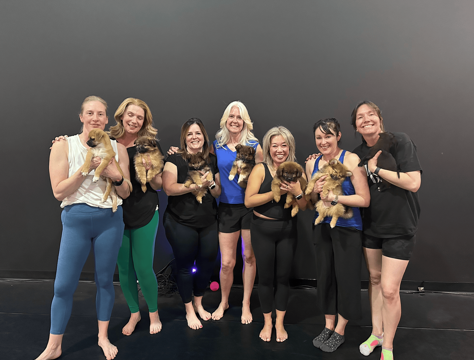 Puppy Aura - Calgary's Premier Puppy Wellness Experience